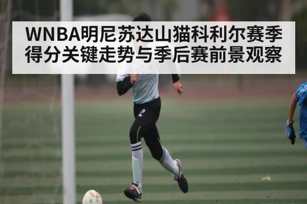 WNBA明尼苏达山猫科利尔赛季得分关键走势与季后赛前景观察